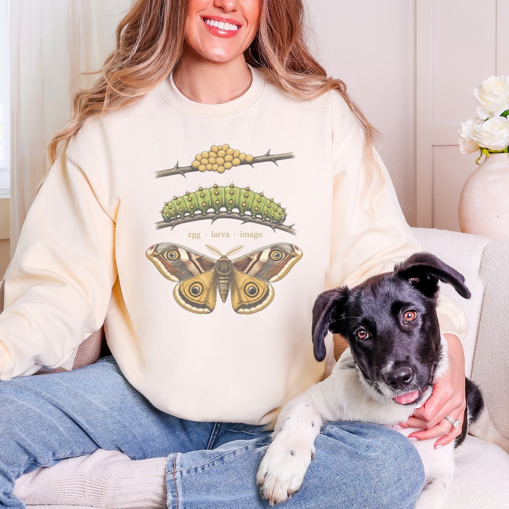 Egg Larva Imago Moth Life Cycle Sweatshirt